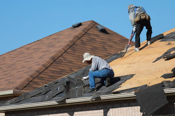 Professional Roofing and repair in Rineyville, KY